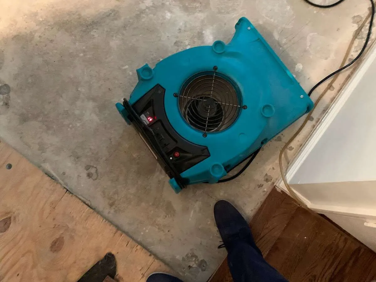 Air mover drying subfloor during Commercial Water Damage Restoration in Clive